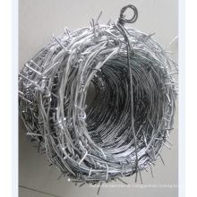 Galvanized Barbed Wire (BWG 12X14, BWG 16X16)